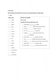 English worksheet: Countables and Uncountables