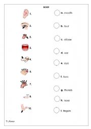 English Worksheet: Body parts