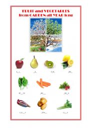 English worksheet: FRUIT AND VEGETABLES AVAILABLE IN ALL THE YEAR 