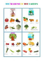 English Worksheet: FRUIT AND VEGETABLES SEASON FOR SEASON 