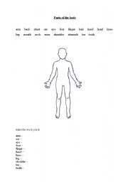 English worksheet: Parts of the body