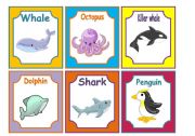 ANIMALS FLASHCARDS 3/3 SEA ANIMALS (30 CARDS)