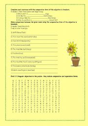 English Worksheet: Adjectives