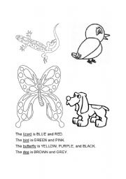 English worksheet: Animal Coloring