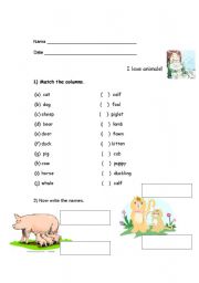 English worksheet: Baby animals