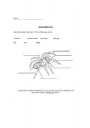 English worksheet: Worksheet for labelling the body parts of a spider