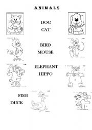 English worksheet: Animals