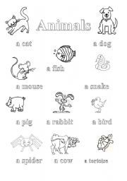 Animals pictionary + exercise