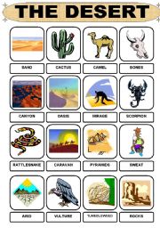 desert vocabulary worksheet worksheets words esl english list eslprintables preview
