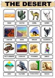 Desert Vocabulary