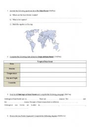 English Worksheet: the rainforest