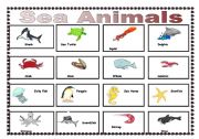 English Worksheet: sea animal pictionary