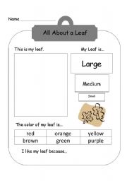 English worksheet: All About a Leaf