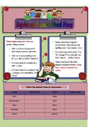 Regular and Irregular Plural  Nouns