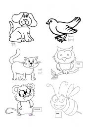 English Worksheet: Animasl