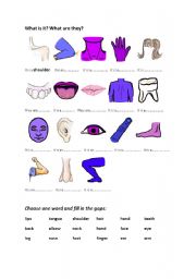 English worksheet: Parts of the body