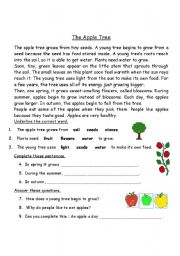 English Worksheet: The Apple Tree