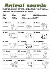 English Worksheet: Animal sounds