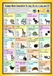 English Worksheet: Grammar Meets Conversation: Do, does, did, are, is, was, were (4) - The Animal World