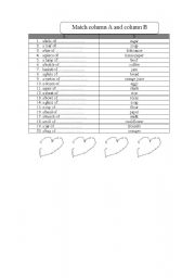 English Worksheet: word