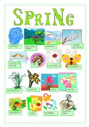 English Worksheet: SPRING