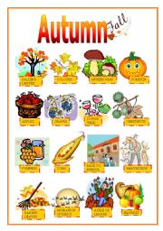 English Worksheet: AUTUMN