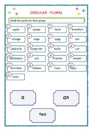 English Worksheet: singular - plural