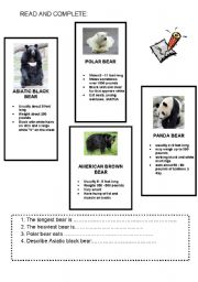 English worksheet: BEARS