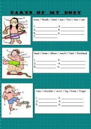 English Worksheet: PARTS OF MY BODY