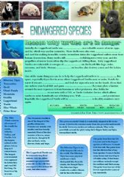 English Worksheet: Endangered species - the sea turtle - fill-in exercise