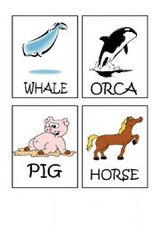 English Worksheet: Animals flash-cards part 2