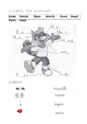 English Worksheet: My body