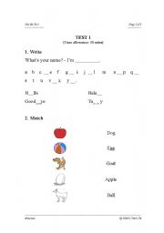 English Worksheet: The alphabet test