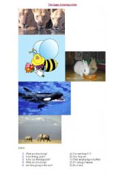 English Worksheet: What are they doing?