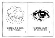 English Worksheet: WHITE MINI BOOK
