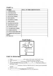 English Worksheet: The Garbage Patch, Environment