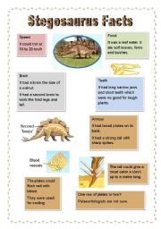 English Worksheet: Stegosaurus Facts