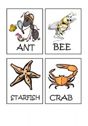 English Worksheet: Animals flash-cards part 4