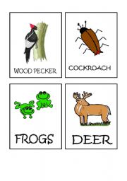English Worksheet: Animals flash-cards part 6