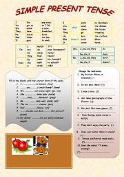 English Worksheet: simple present tense