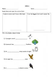 English Worksheet: BIRDS!