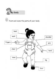 English worksheet: my body