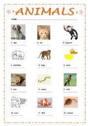 English worksheet: ANIMALS