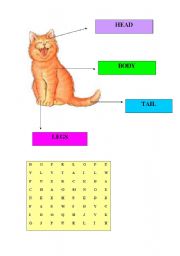 English Worksheet: animal body parts 