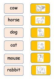 English worksheet: My first animals