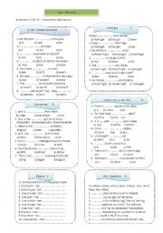 English Worksheet: Test -Revision