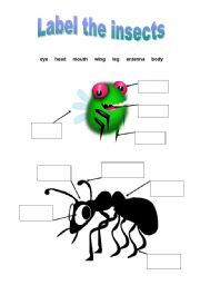 English worksheet: Label the insects