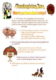 CURIOSITIES ABOUT TURKEYS