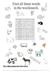 English Worksheet: Wordsearch animals