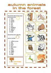 English Worksheet: autumn animals in the forest